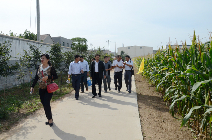 煙臺市種子行業到魯豐觀摩